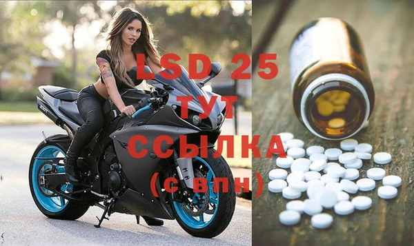спайс Нея