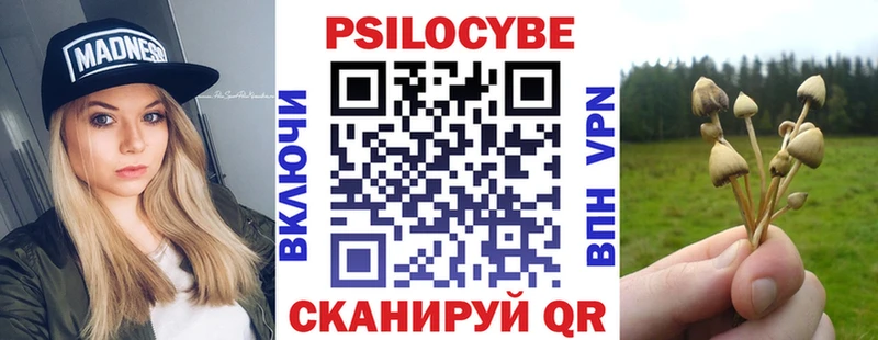 магазин ссылка на мегу ССЫЛКА Псилоцибиновые грибы Psilocybine cubensis даркнет состав Сызрань