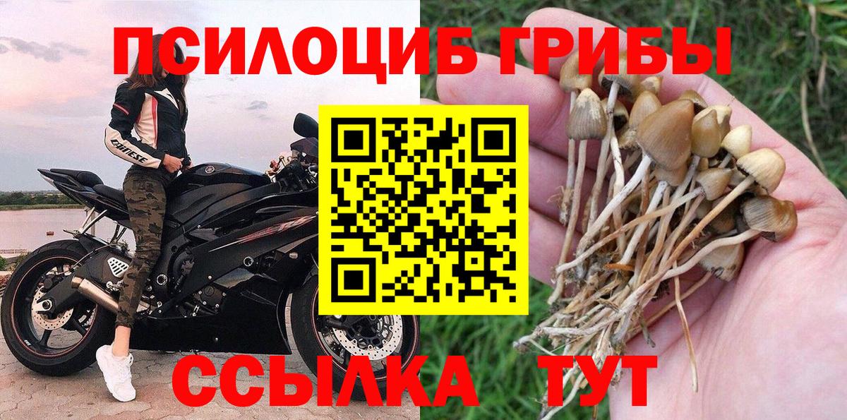 Псилоцибиновые грибы мицелий Сызрань