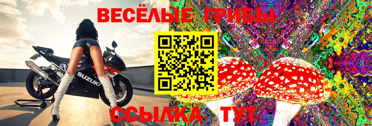 Псилоцибиновые грибы мицелий  Галлюциногенные грибы Psilocybine cubensis  Сызрань  Вход с VPN 